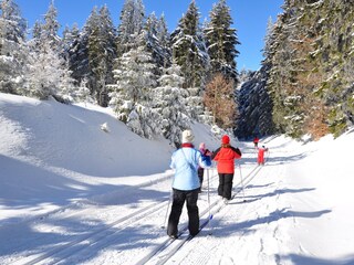 Casa per le vacanze Suhl Ambiente 24