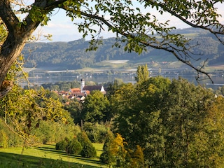 Bevorzugte Lage am Südhang oberhalb von Öhningen