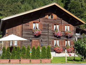 Holiday house in Montafon - Schruns - image1