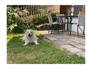 Casa per le vacanze Güssing Registrazione all'aperto 9