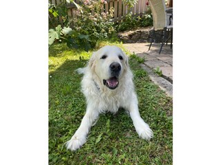 Casa per le vacanze Güssing Registrazione all'aperto 11