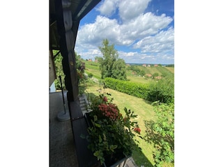 Ferienhaus Güssing Umgebung 14