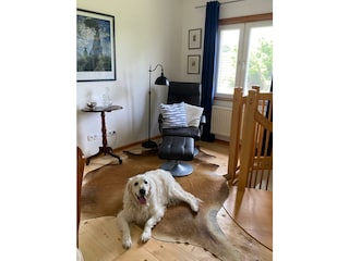 Ferienhaus Güssing Wohnzimmer 20
