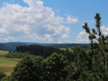 Ferienwohnung Haus Feldbergblick