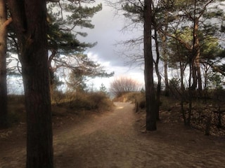 Weg zum Strand