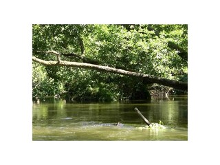 Villa Magescq Entorno 37