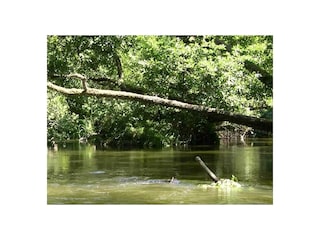 Villa Magescq Environment 37