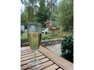 ein Apero im Garten