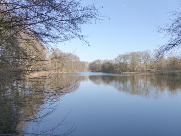 Ferienwohnung auf dem Hofjunkernberg