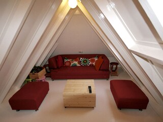 Casa per le vacanze Buren Caratteristiche 14