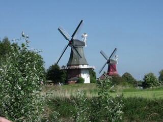 Die Zwillingsmühlen von Greetsiel