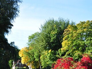 Herbststimmung