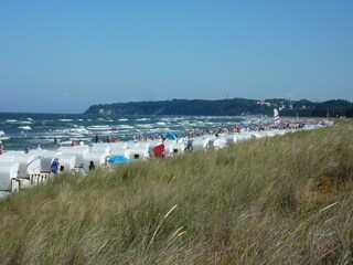 Strand Baabe