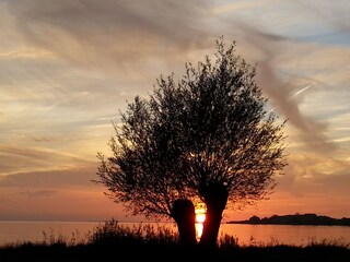 Abendidylle am Selliner See