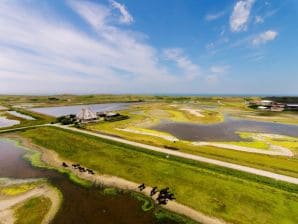 Appartamento per vacanze Il Jutter - il predatore di spiaggia - Callantsoog - image1