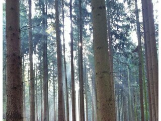 Casa per le vacanze Extertal Ambiente 12