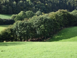 Casa per le vacanze Extertal Ambiente 13