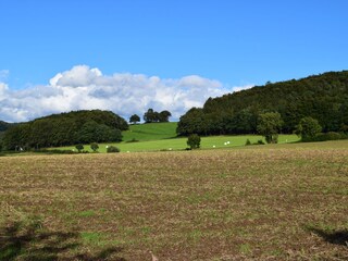 Maison de vacances Extertal Environnement 17