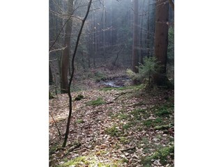 Casa per le vacanze Extertal Ambiente 16