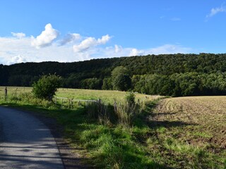 Casa per le vacanze Extertal Ambiente 22