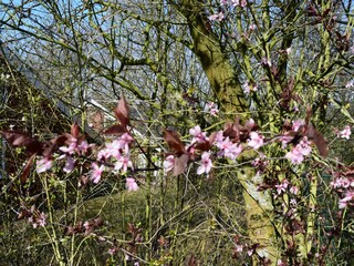Casa per le vacanze Extertal Registrazione all'aperto 3