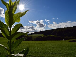 Casa per le vacanze Extertal Ambiente 15