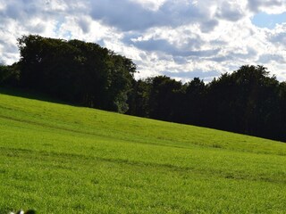 Casa per le vacanze Extertal Ambiente 16