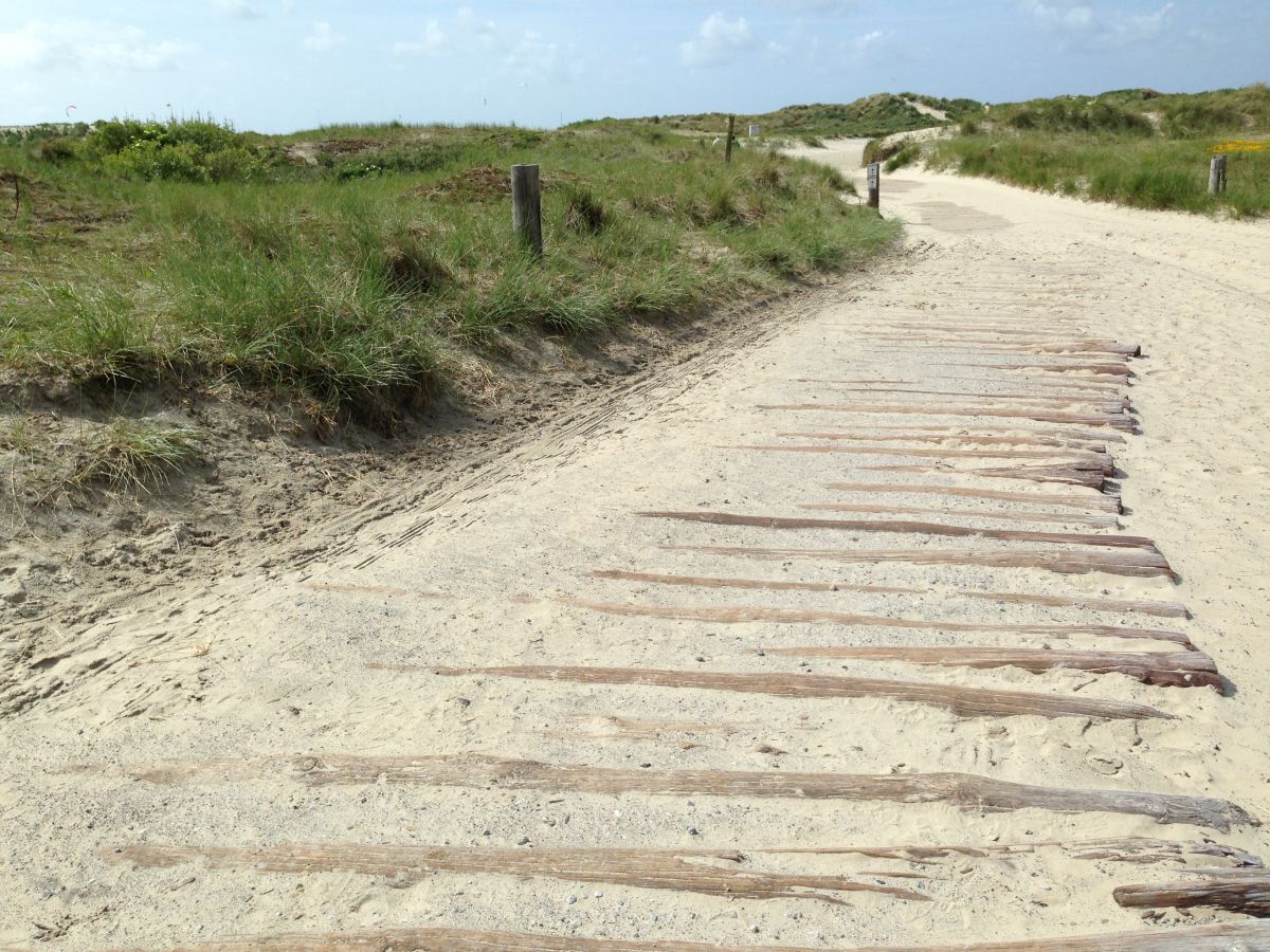 Dünen Borkum