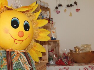 Appartamento per vacanze Vintl Caratteristiche 19