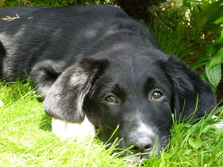 Appartamento per vacanze Vintl Ambiente 22