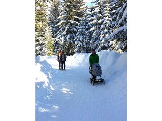 Appartamento per vacanze Vintl Ambiente 21