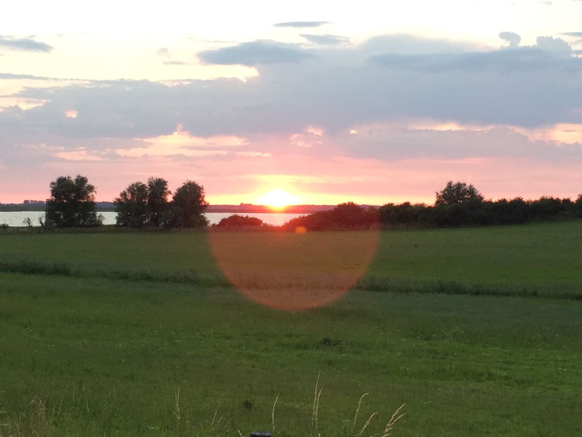 Ferienhaus Sonneneck, Barth, Frau Simone Wolff