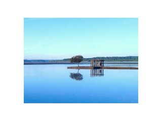 Maison de vacances Magescq Environnement 28