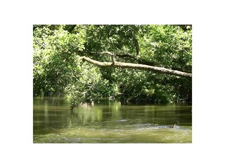 Casa per le vacanze Magescq Ambiente 29