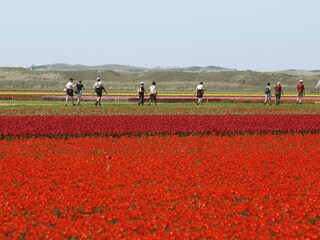 Vakantiehuis Sint Maartenszee Omgeving 14