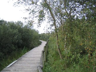 Vakantiehuis Sint Maartenszee Omgeving 18