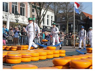 Vakantiehuis Sint Maartenszee Omgeving 25