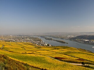 Rüdesheim Aussicht Denkmal