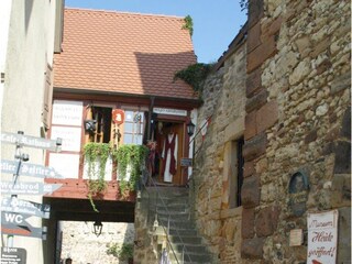 Freinsheimer Stadtmauer