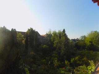 Ausblick Bacchuswohnung