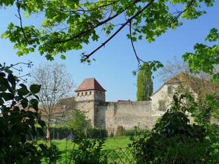 Blick auf die Stadtmauer