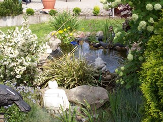 Goldfish Pond