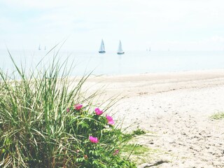 Strandaussichten vor eigener Tür