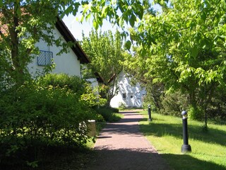 Ferienhaus mit Parkumgebung