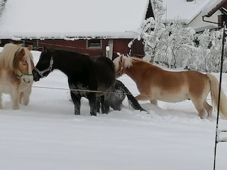 Winterlandschaft