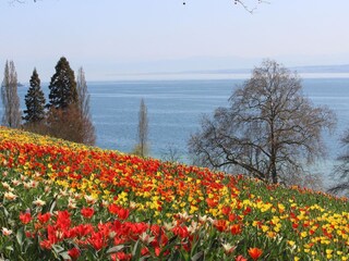 Vakantieappartement Hörbranz Omgeving 26