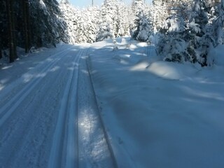 Langlaufen auf der Alb