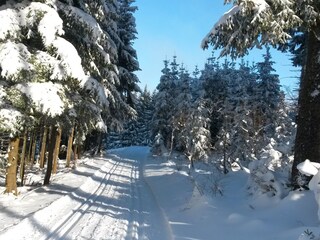 Ski Loipe Messstetten