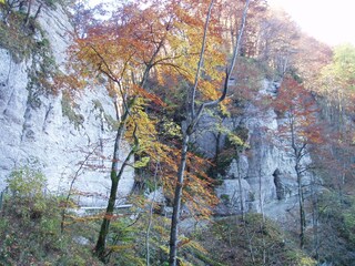 Traufgang Hossinger Leiter