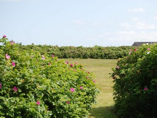 Ferienwohnung Wenningstedt  26